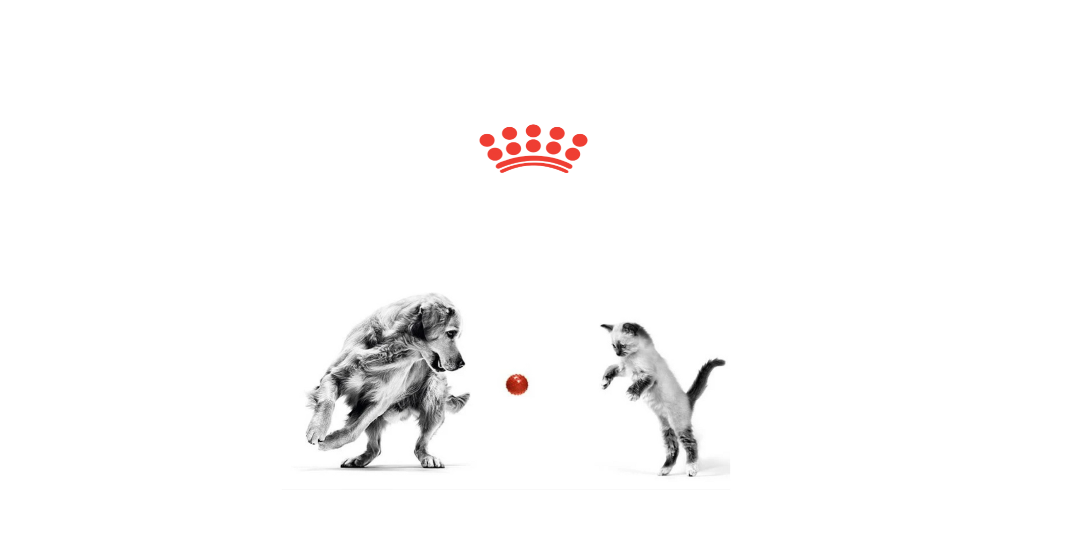 Royal Canin