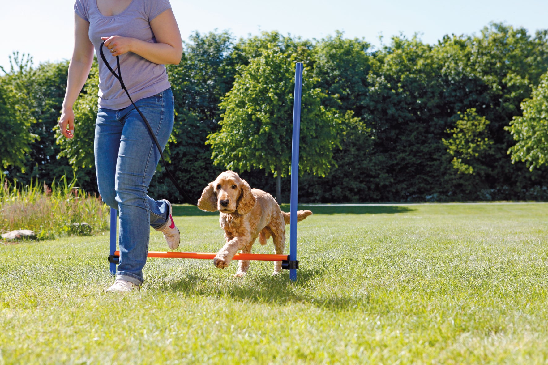 Agility Hopphinder Plast 123 x 115 cm