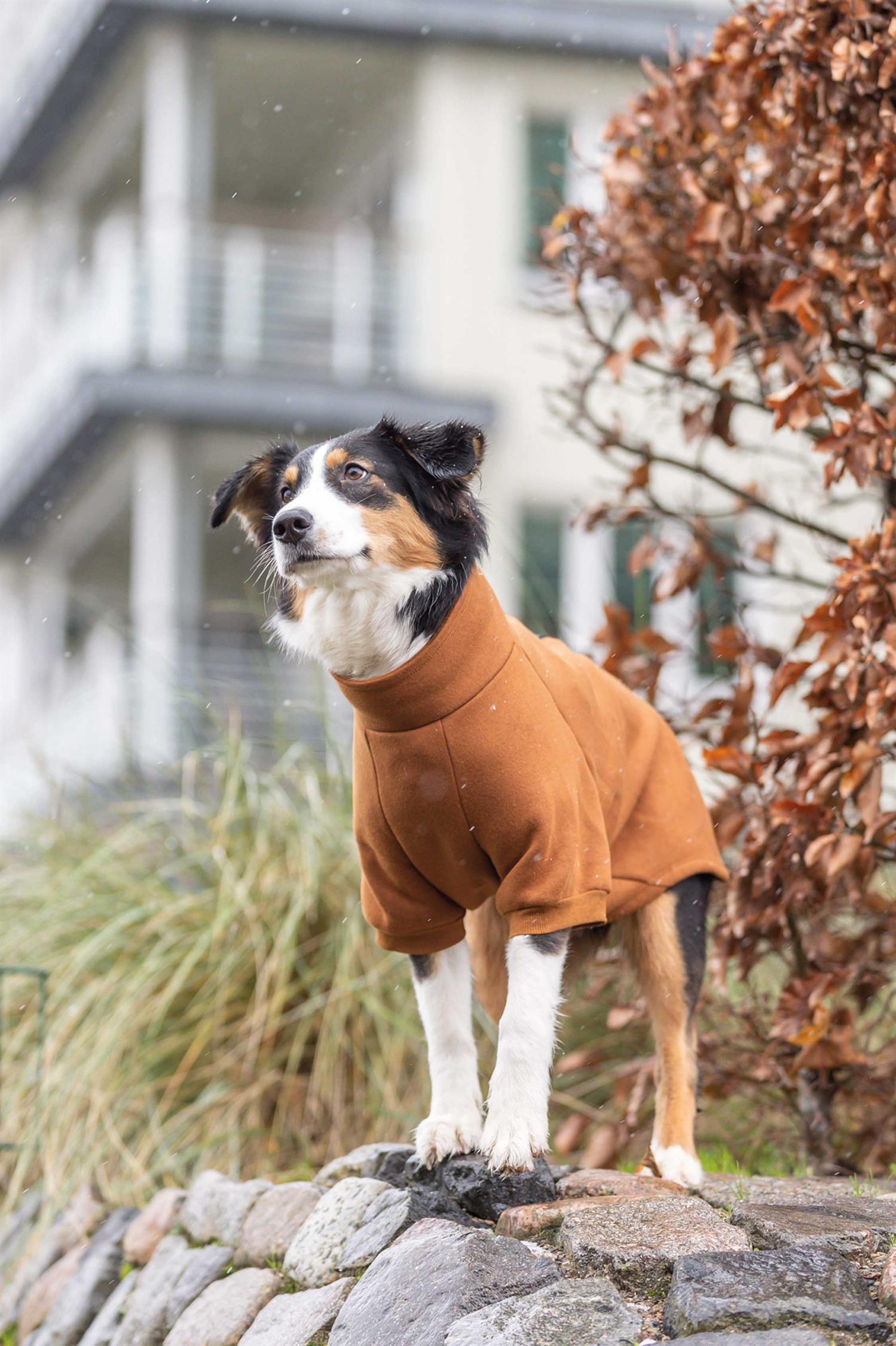 Trixie CityStyle Amsterdam sweatshirt, L short: 62 cm, mörkgrön