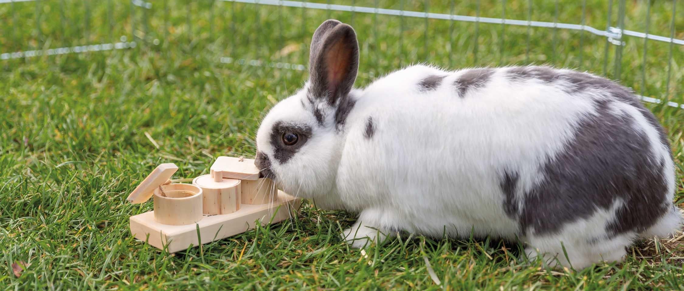 Trixie Snackskoppar, trä, 15 × 4.5 × 6 cm