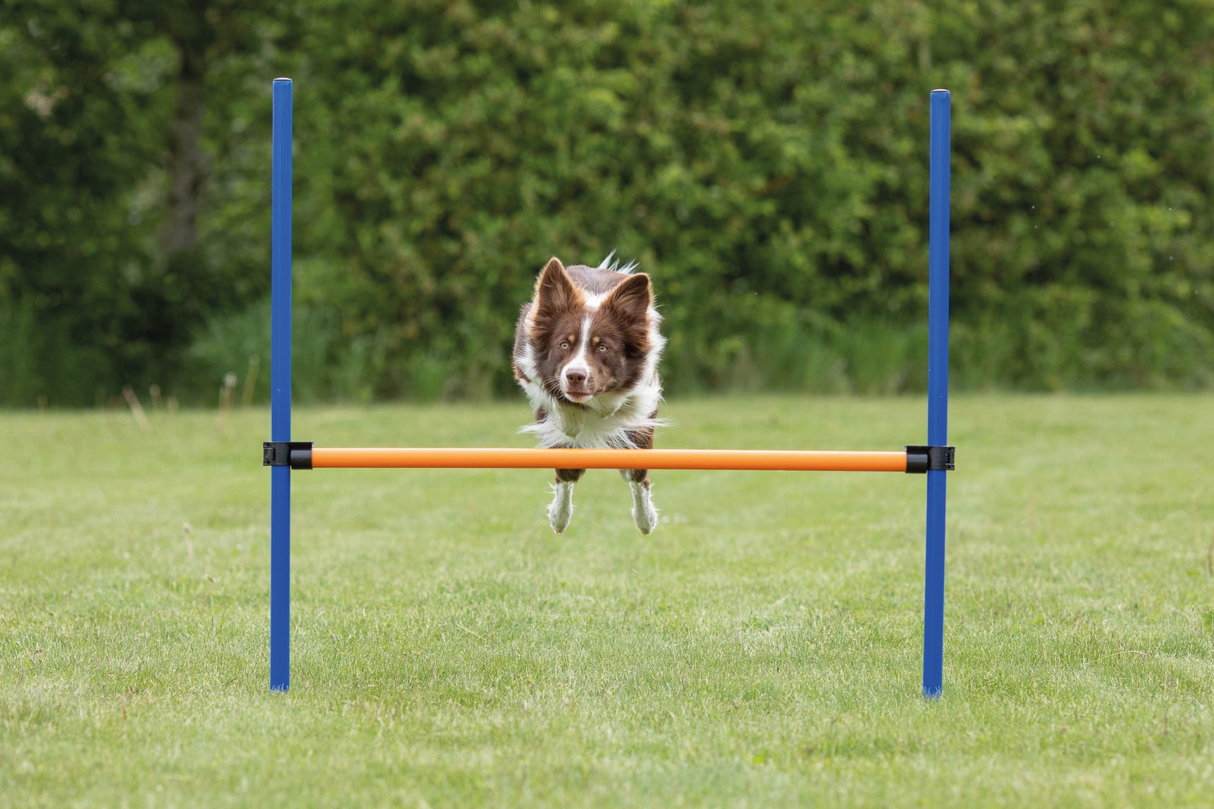 Agility Hopphinder Plast 123 x 115 cm