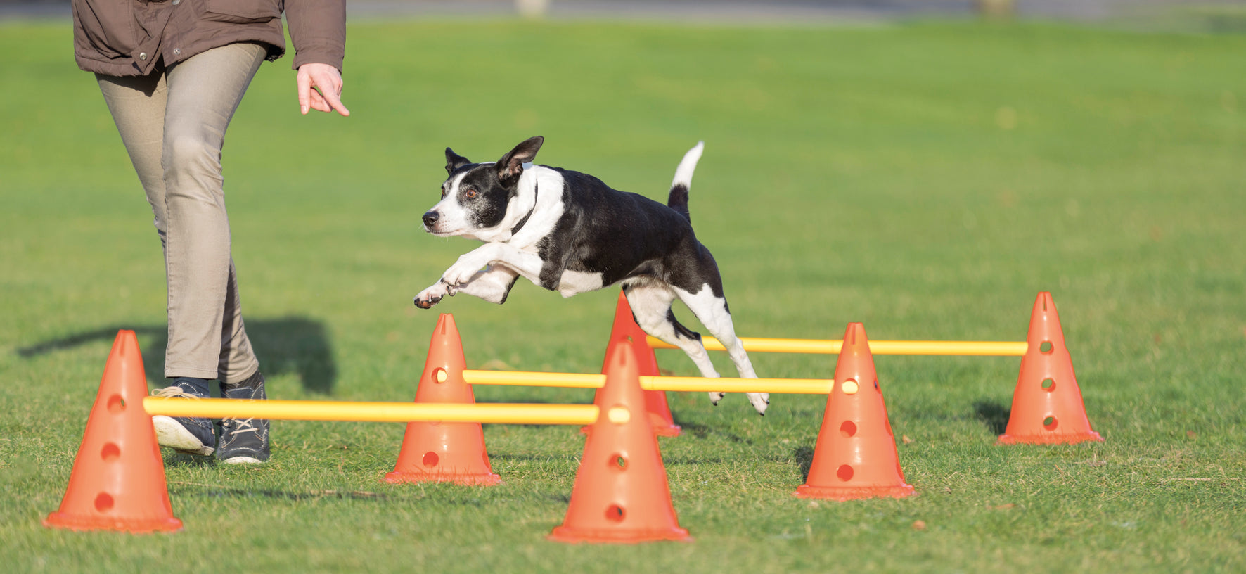 Trixie Dog Activity Hinderset 3 hinder, ø23×30cm, 78cm, orange & gul