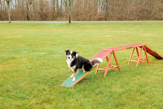 Agility ramp