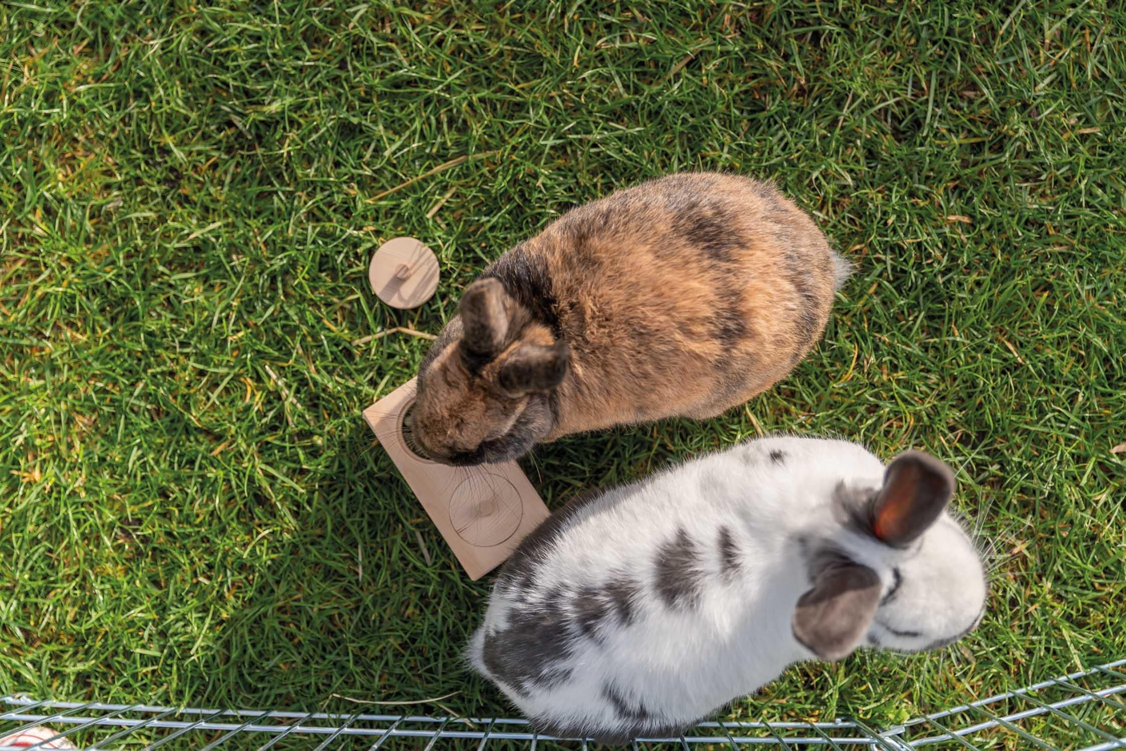 Trixie Snacksbox, trä