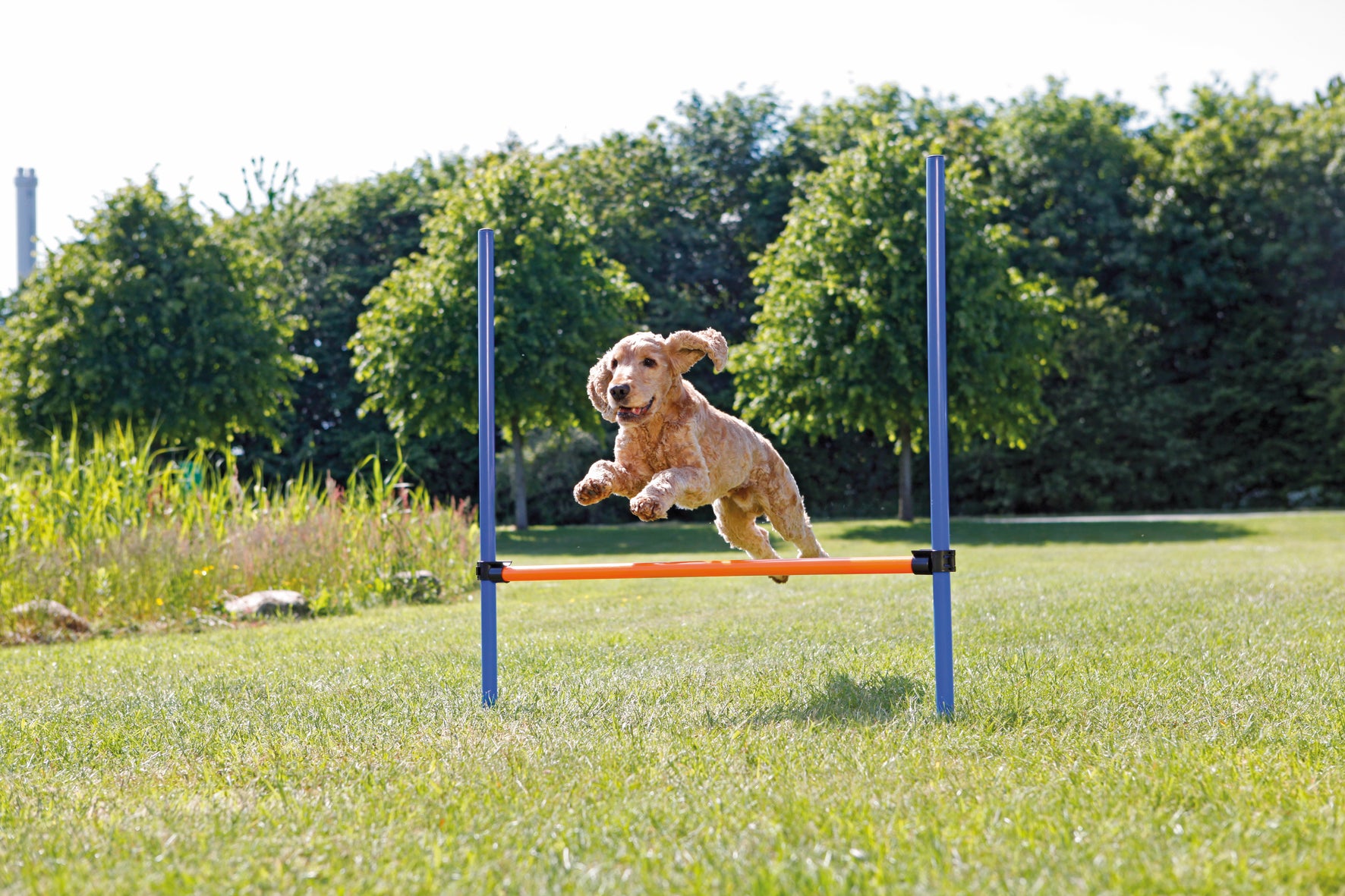 Agility Hopphinder Plast 123 x 115 cm