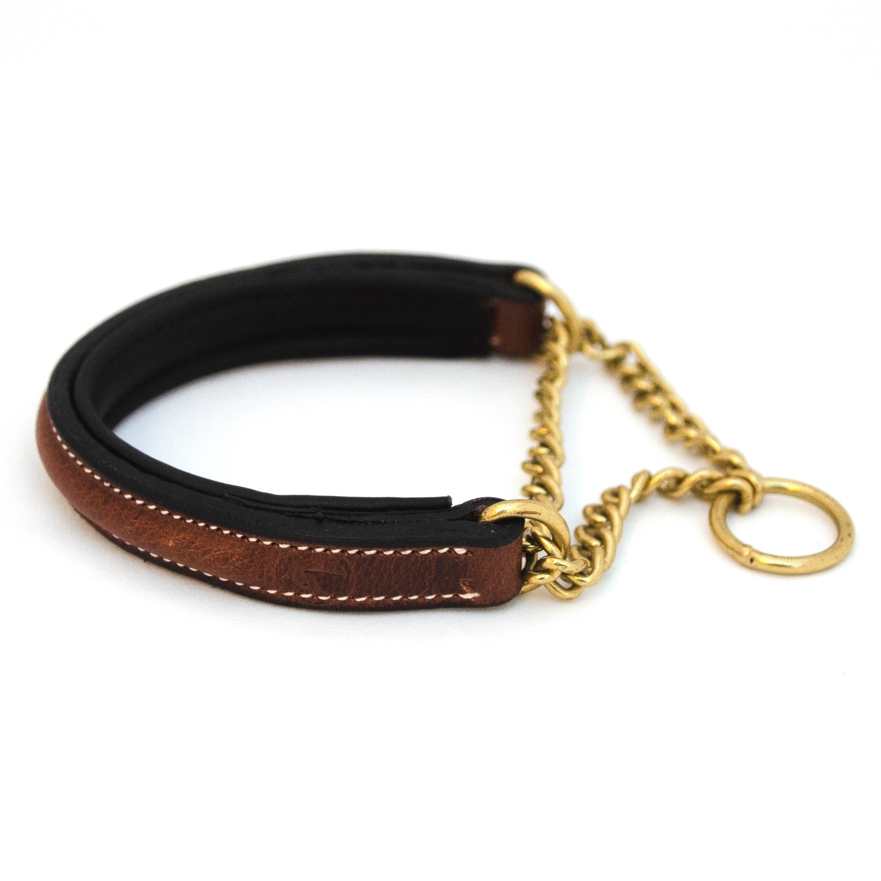 Jacson Asti Hundhalsband