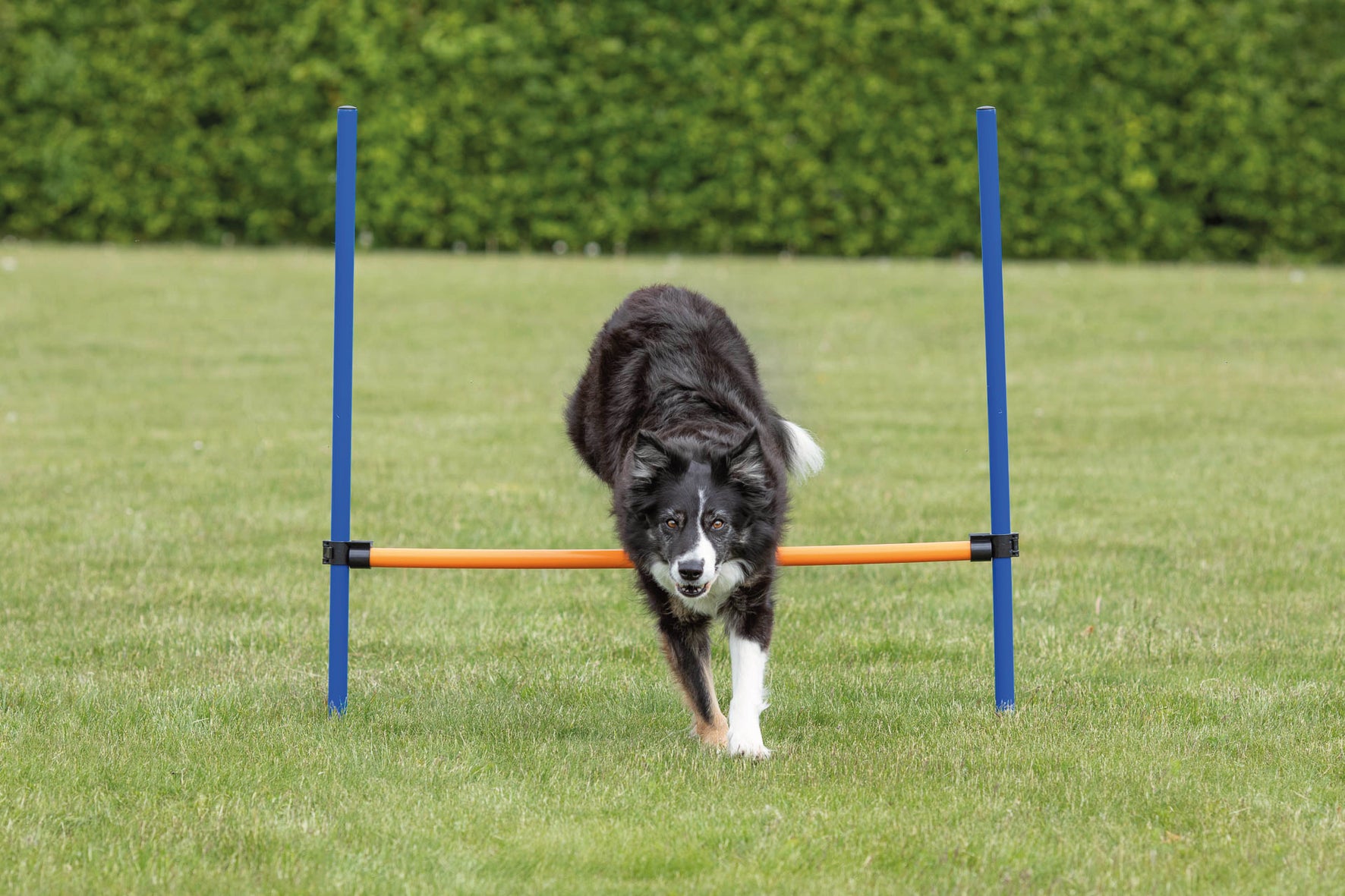 Agility Hopphinder Plast 123 x 115 cm