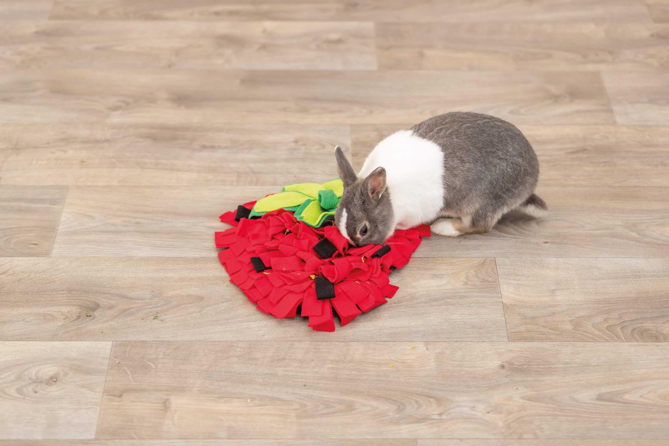 Trixie Sniffing Carpet, 33 × 40 cm, röd