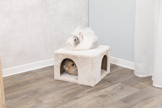 Trixie Igloo for kanin/marsvin, plysch,, beige