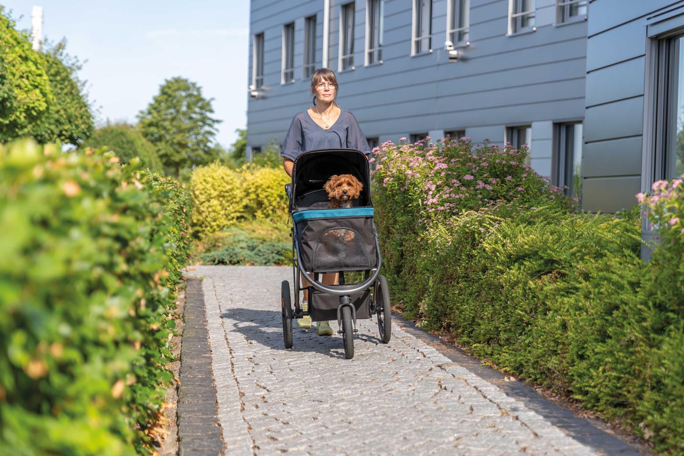 Trixie Djurvagn Buggy, hopfällbar, 60×h112×120 cm, upp t. 20 kg, svart/petrol