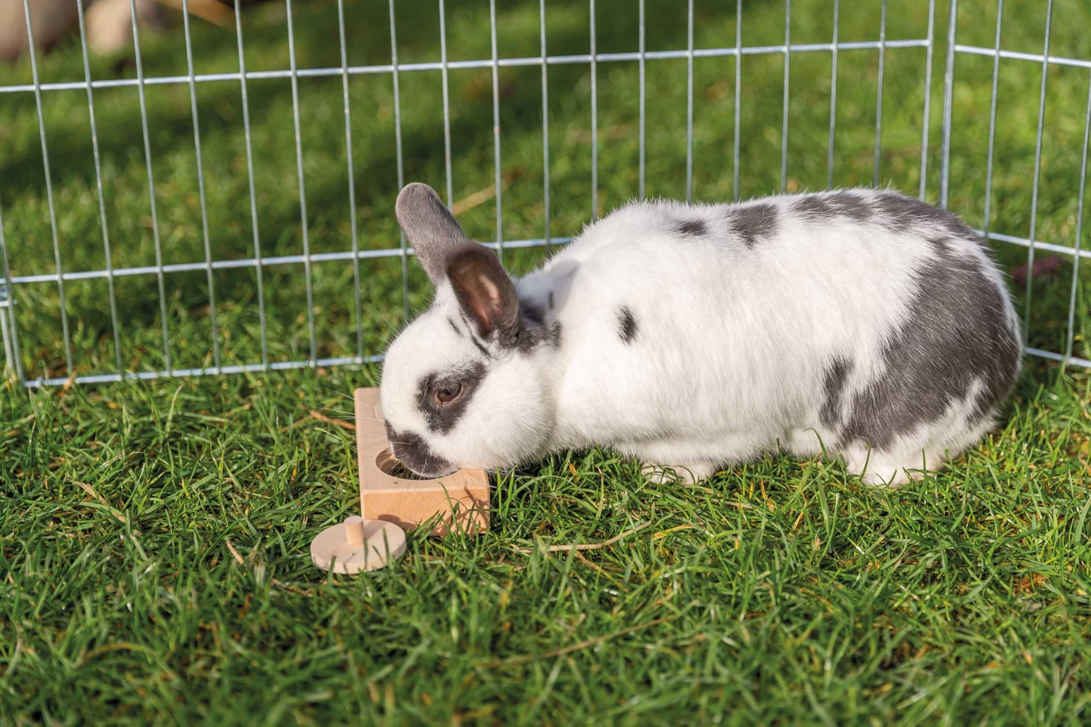 Trixie Snacksbox, trä