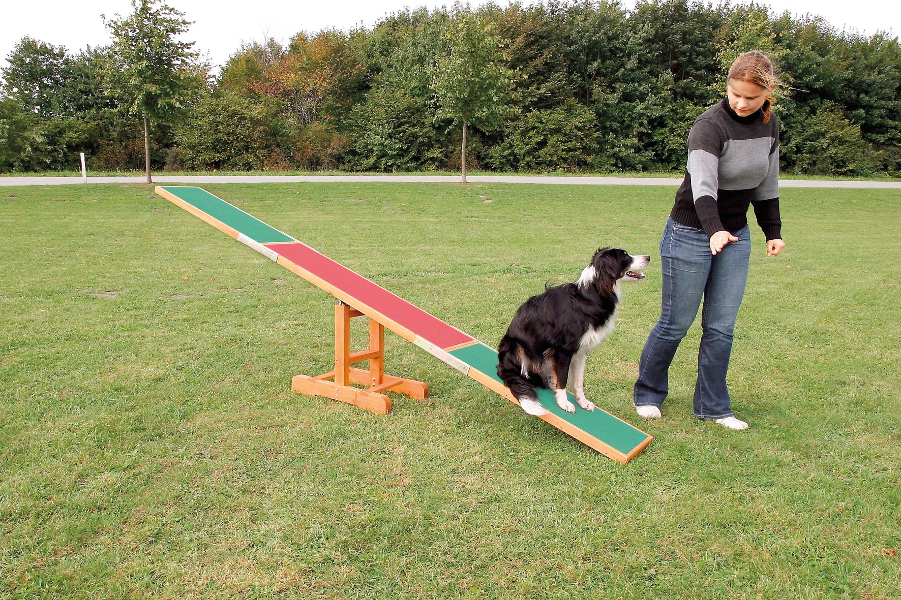 Agility Gungbräda Trä