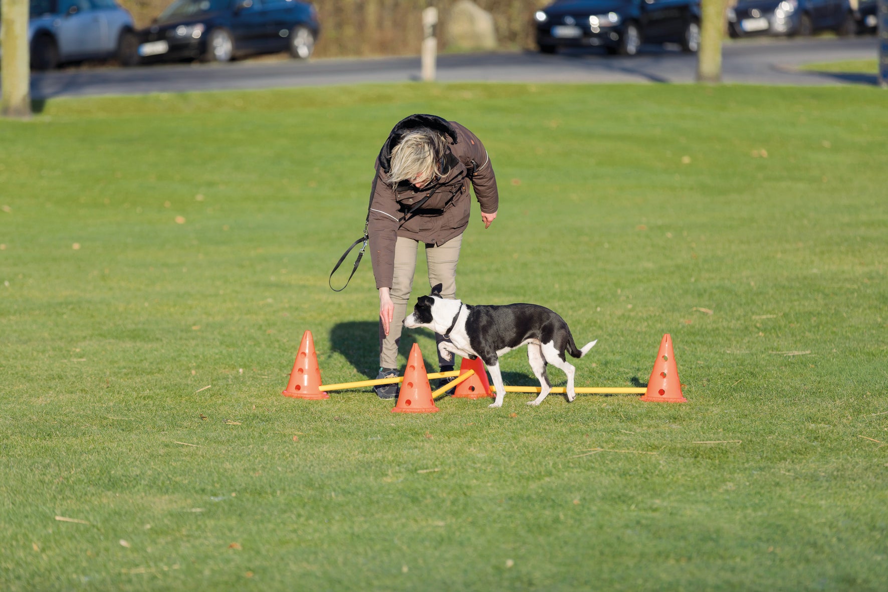 Trixie Dog Activity Hinderset 3 hinder, ø23×30cm, 78cm, orange & gul