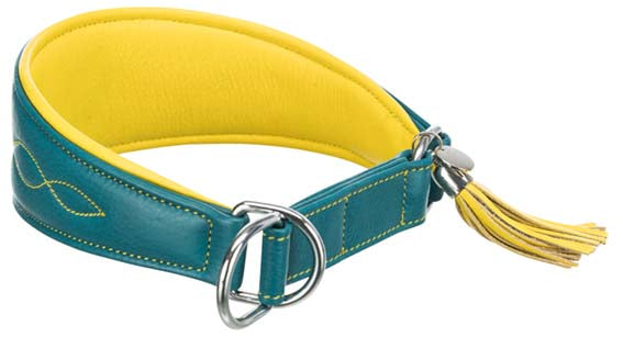 Trixie Active Comfort halsband för vinthund, S-M: 33-42 cm/60 mm, petrol