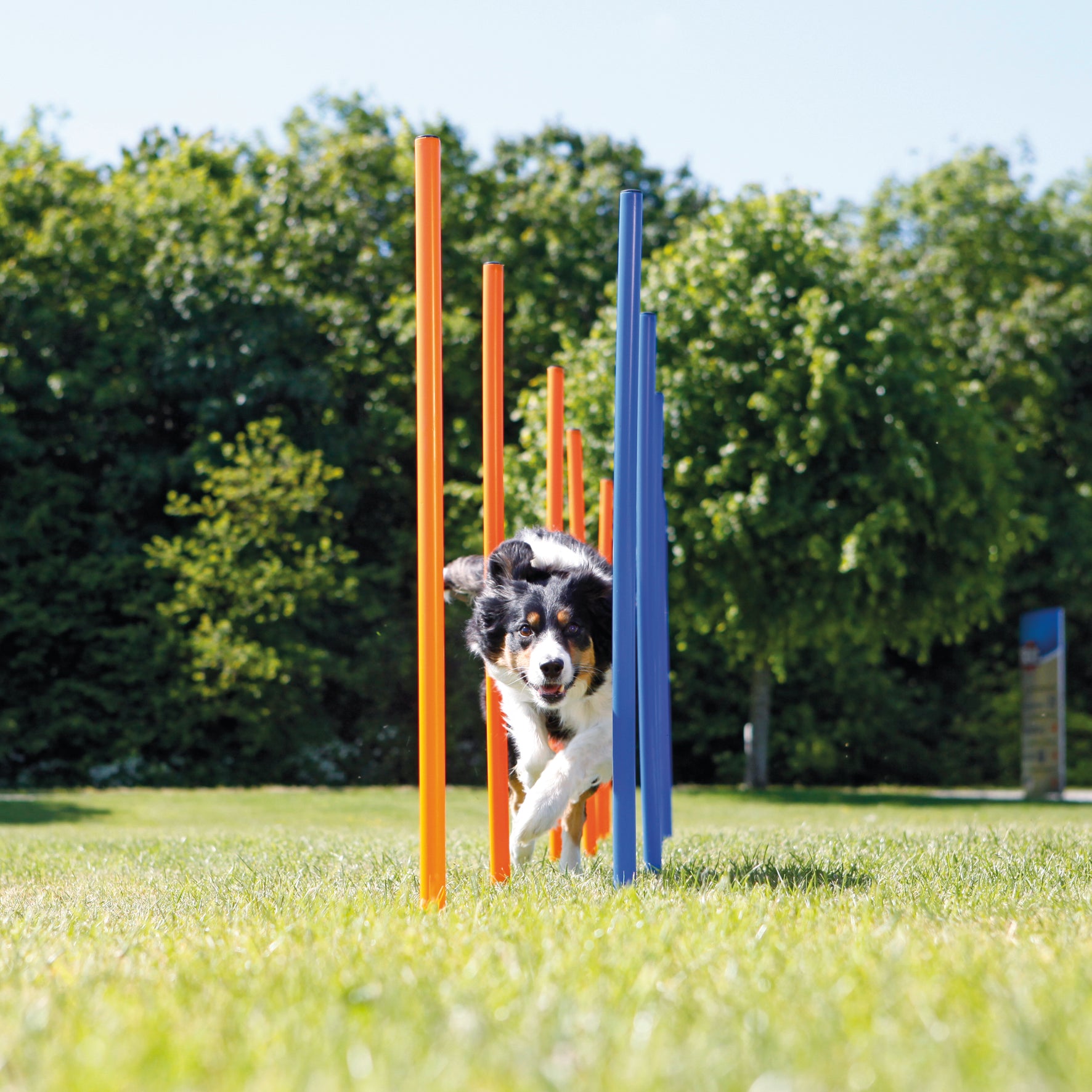 Agility 12 st Slalompinnar Plast 115 cm