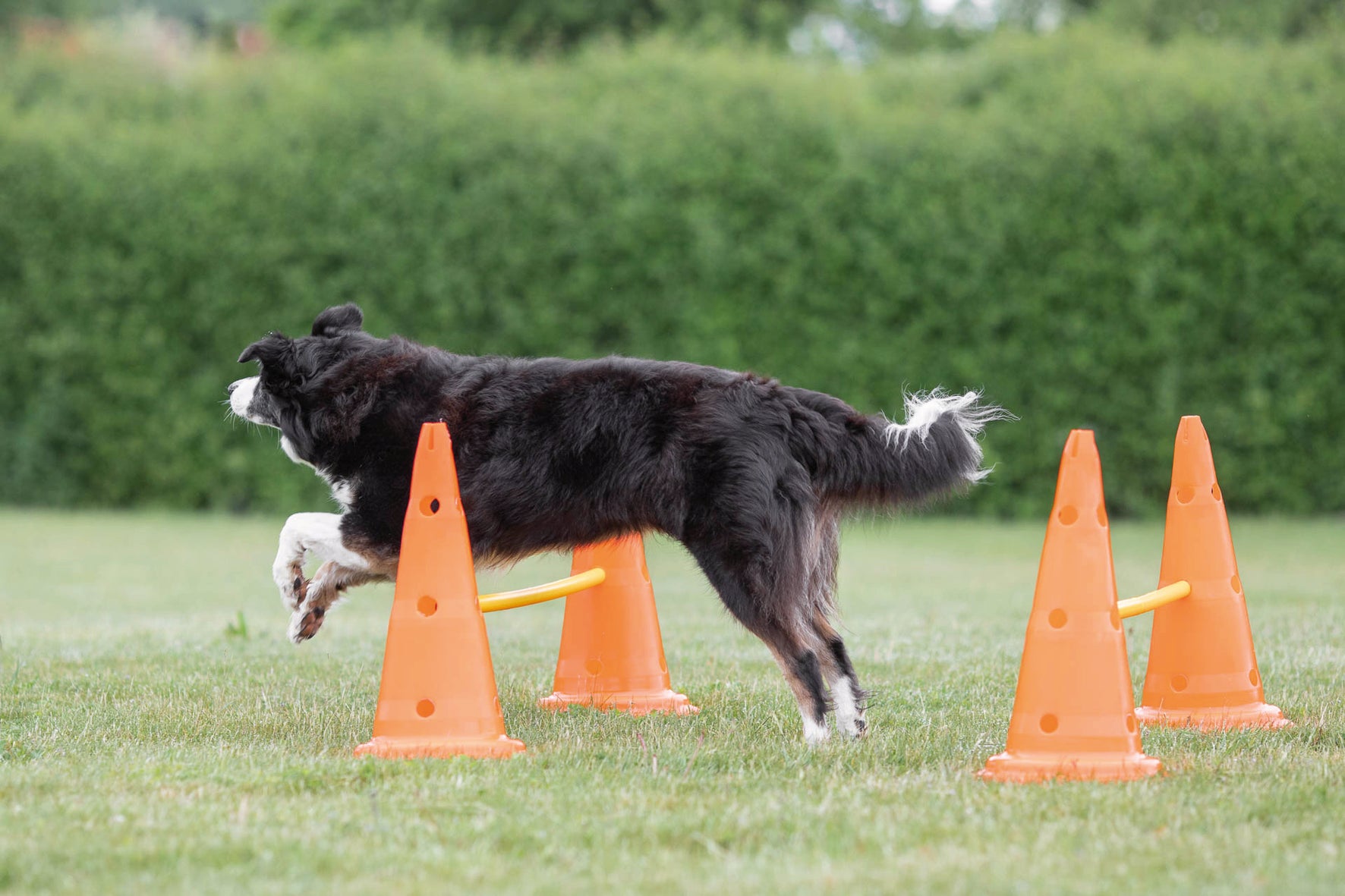 Trixie Dog Activity Hinderset 2 hinder, ø30×50cm, 100cm, orange & gul