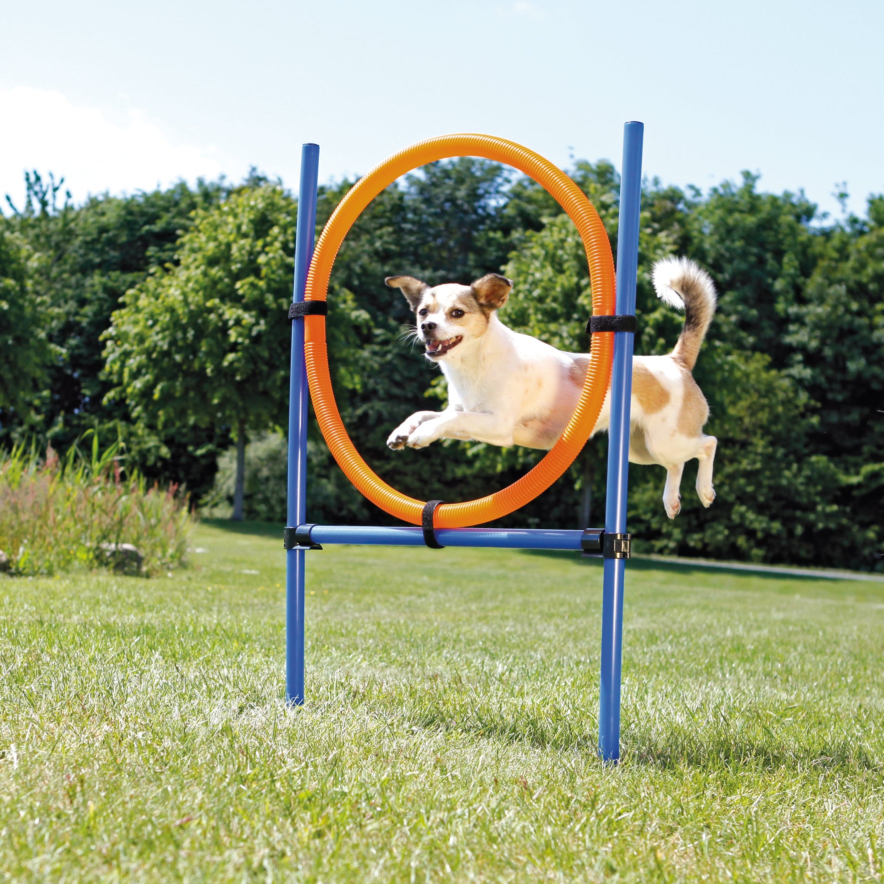 Agility Hoppring Plast