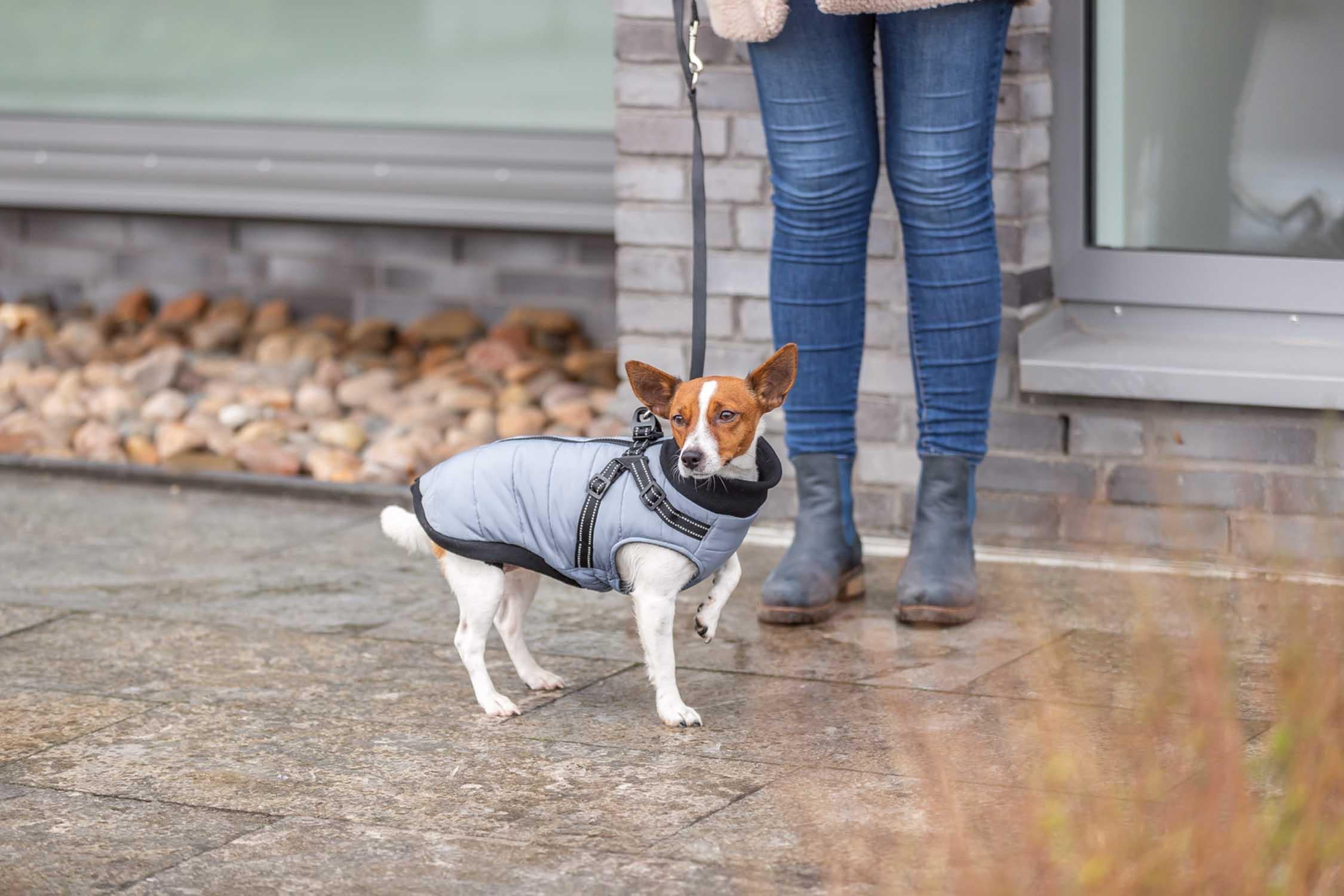 Trixie Pontis täcke med sele, XXS: 24 cm, grå