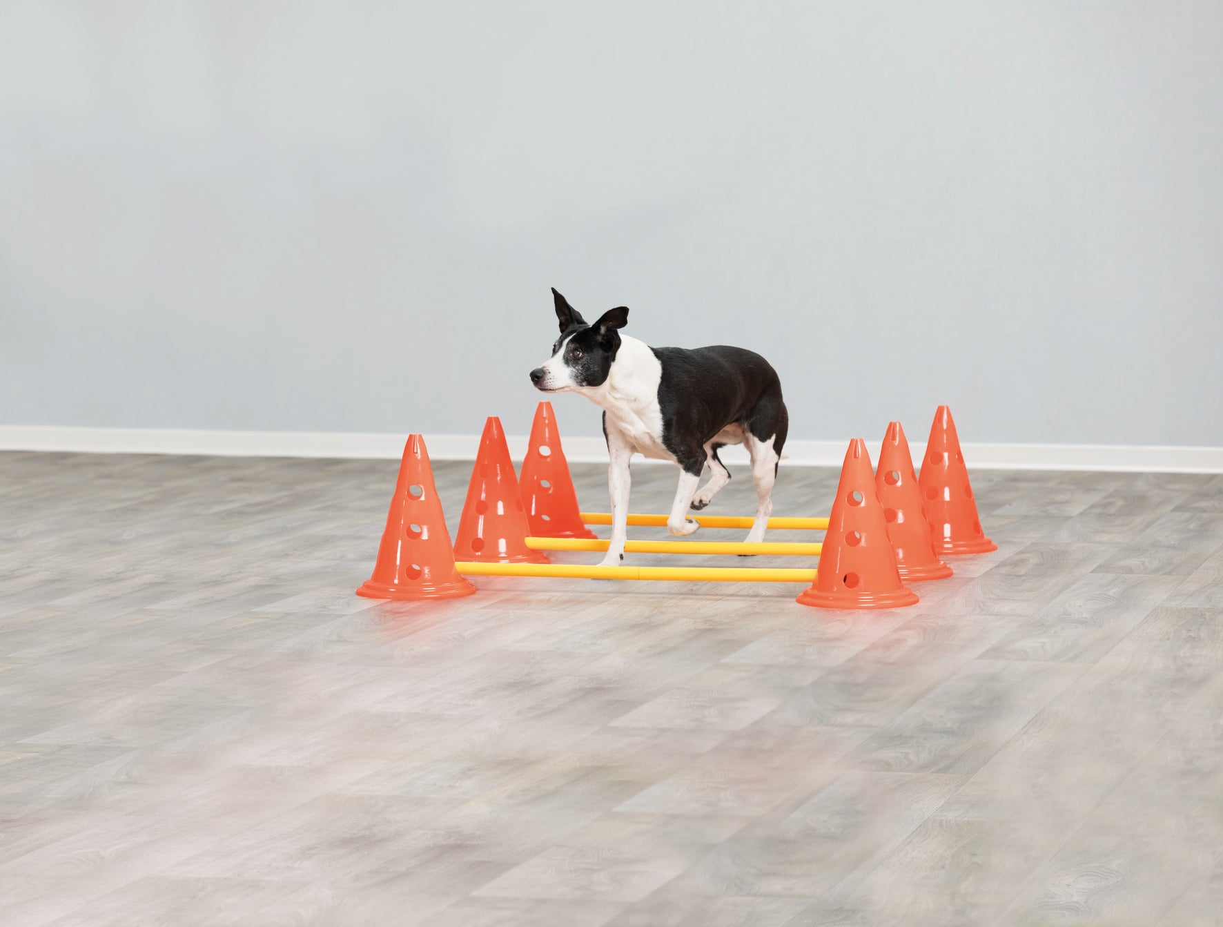 Trixie Dog Activity Hinderset 3 hinder, ø23×30cm, 78cm, orange & gul