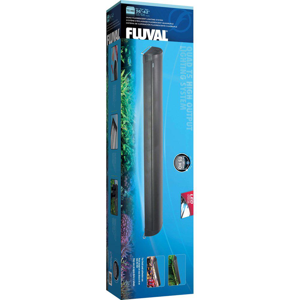 Ramp Fluval Quad