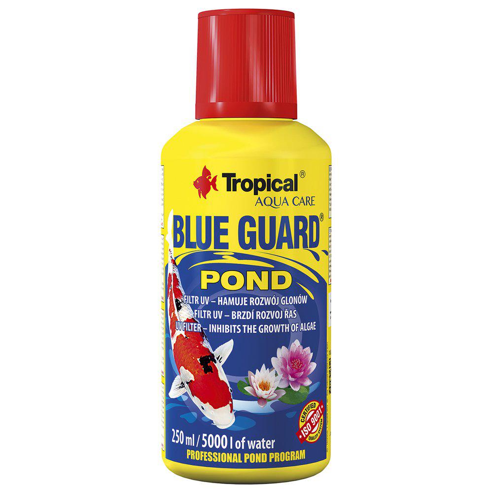 Tropical Blue Guardpond