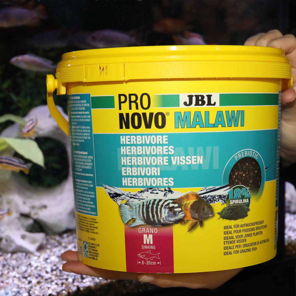 Jbl Pronovo Malawi Grano M 5,5L