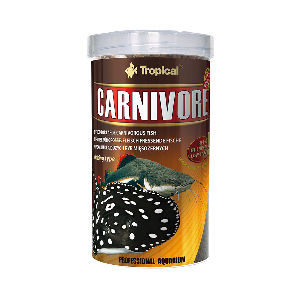 Tropical Carnivore