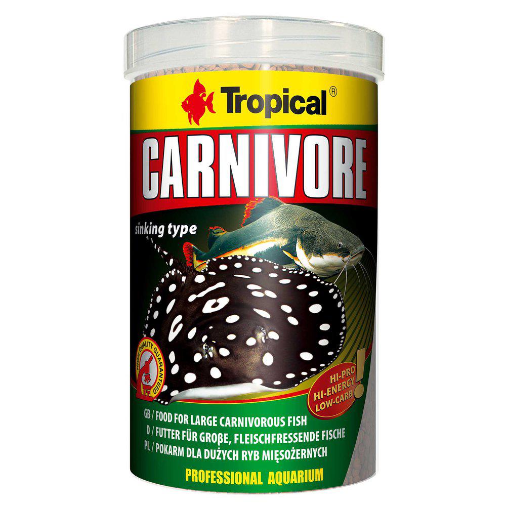 Tropical Carnivore