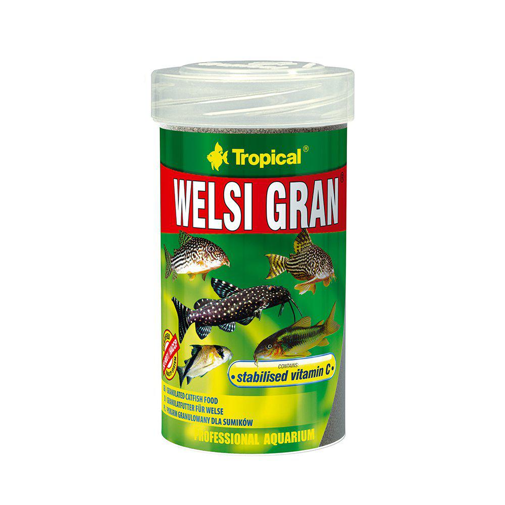 Tropical Welsi Gran