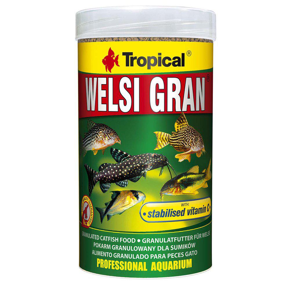 Tropical Welsi Gran