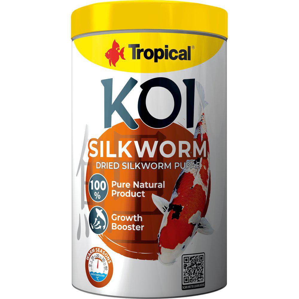 Tropical New Koi Silkworm Dried Silkworm Pupae /