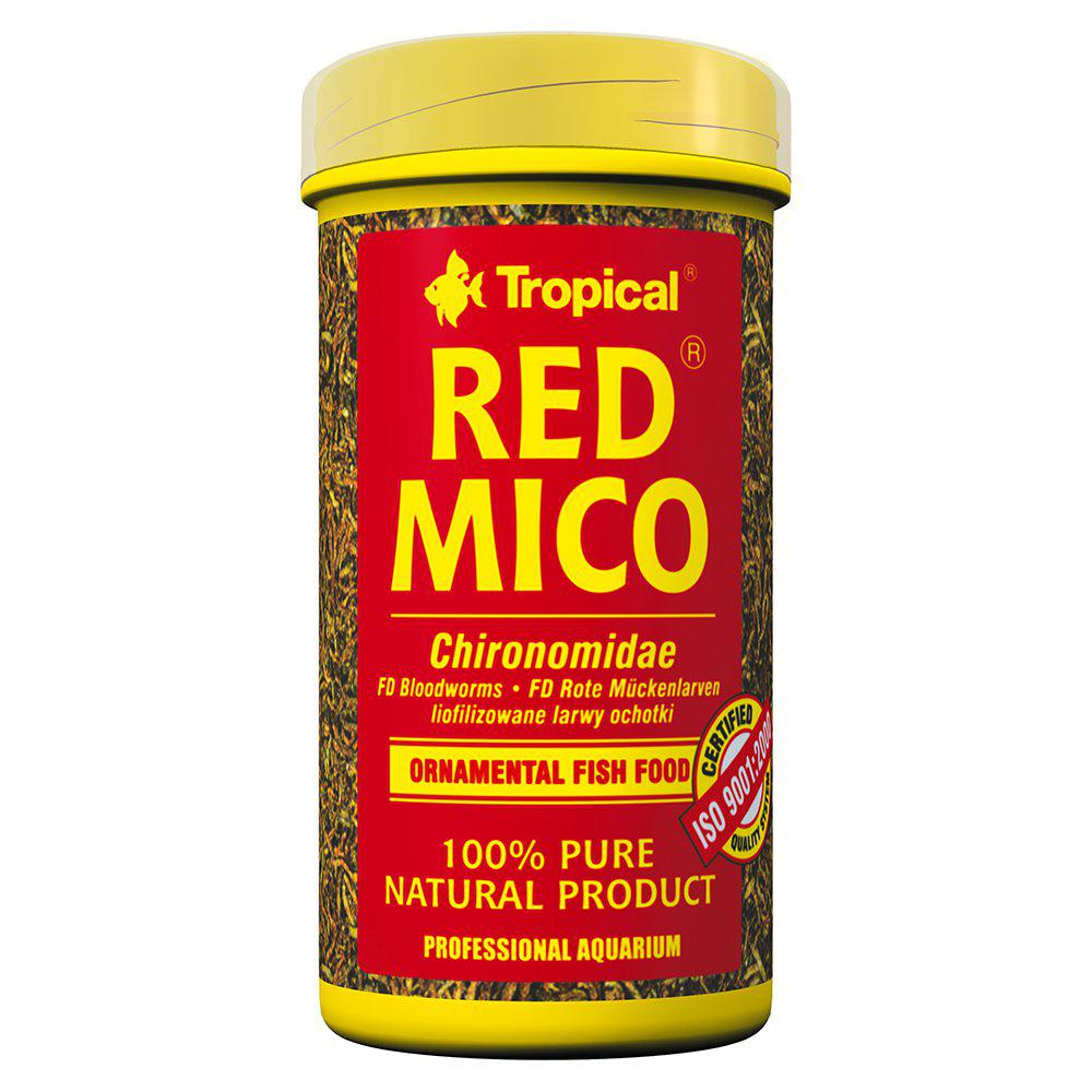 Tropical Red Mico /