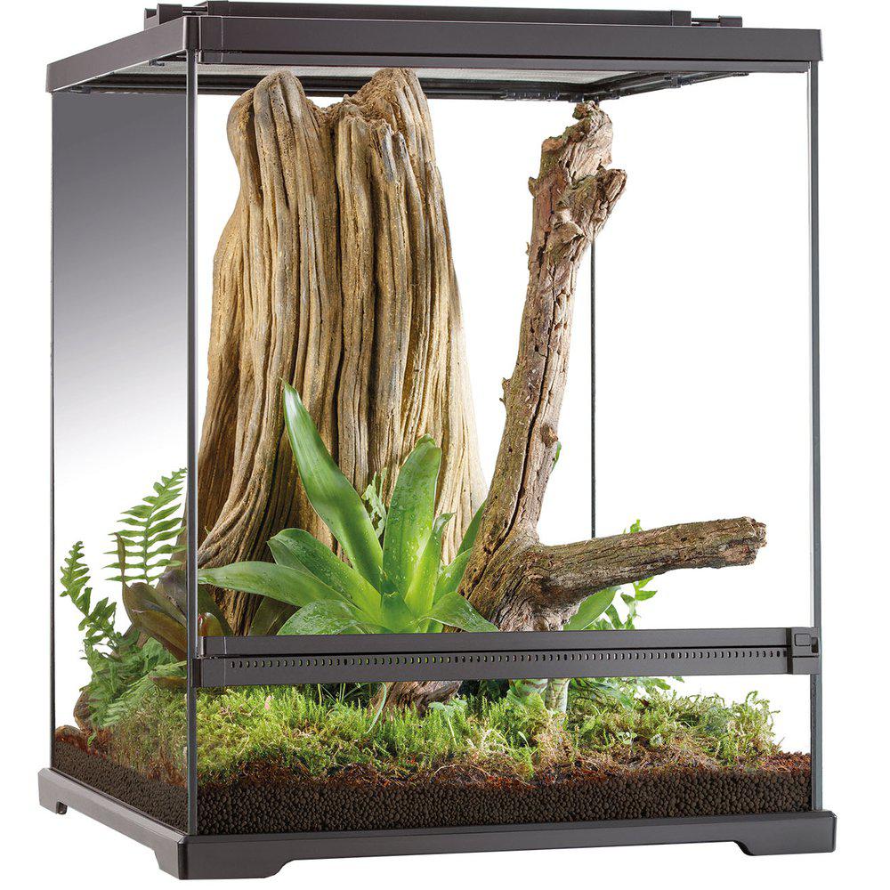 Exoterra Terrarium Tree Frog