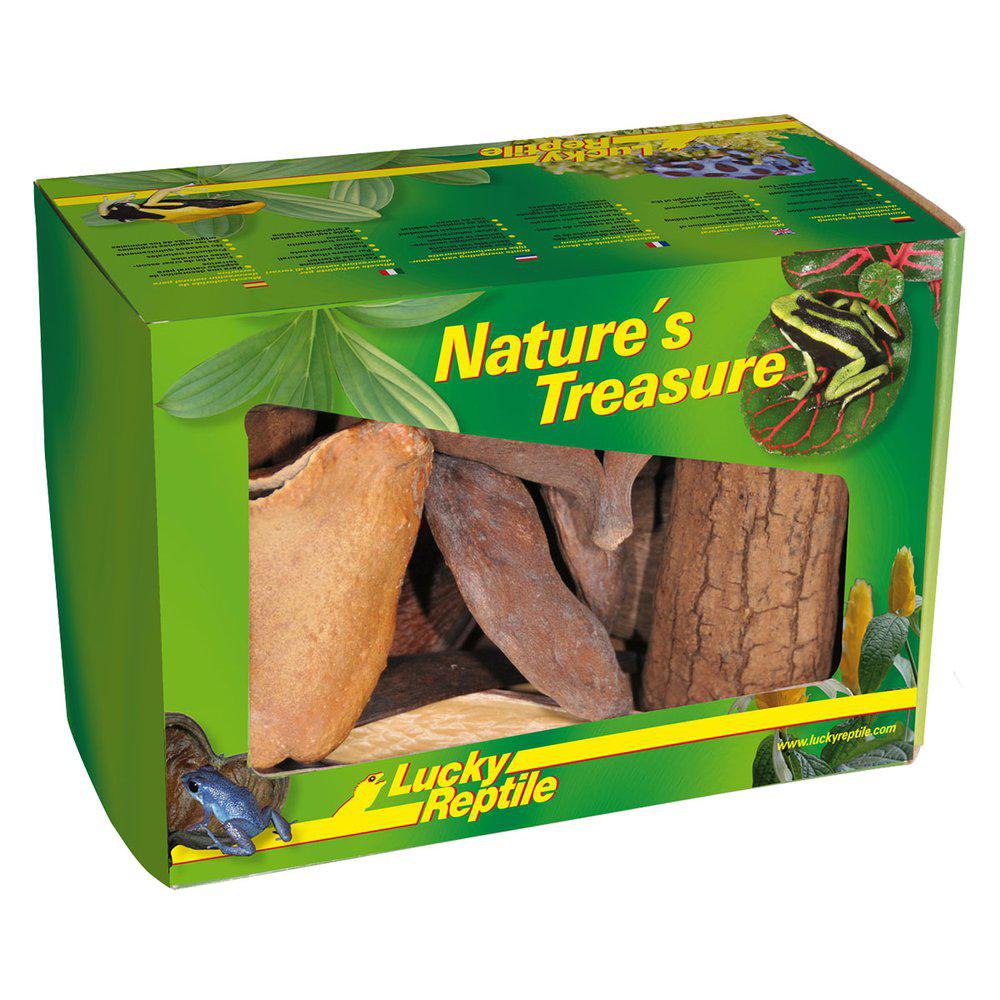 Lucky Reptile Dekorationsbox Nature's Treasure