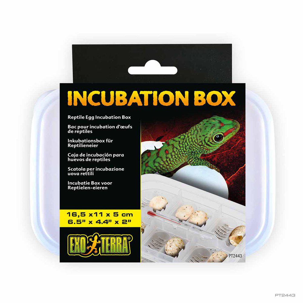 Exoterra Incubatioon Box-reptile Egg