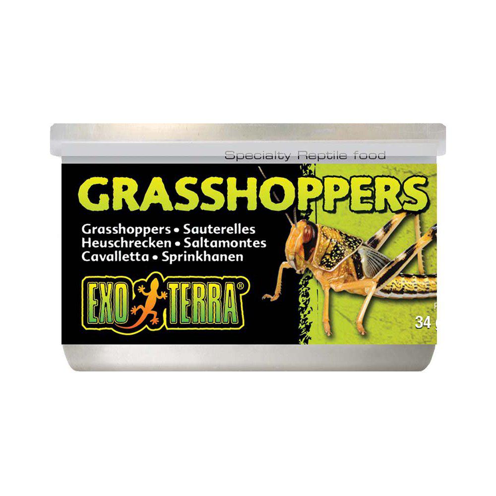 Exoterra Gräshoppor 34g Konserverade