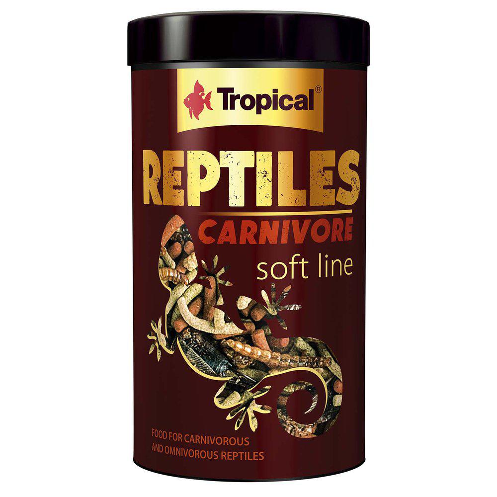 Tropical Soft Line Reptiles Carnivore