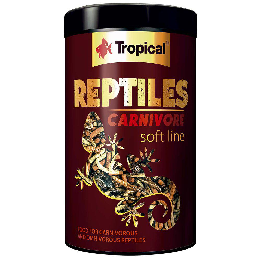 Tropical Soft Line Reptiles Carnivore