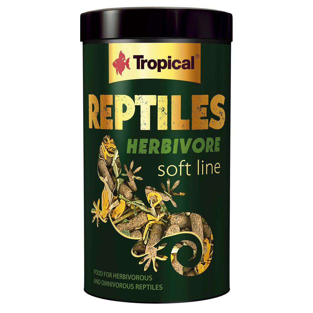 Tropical Soft Line Reptiles Herbivore