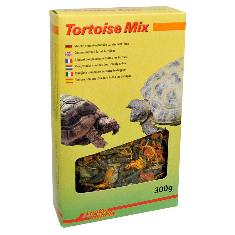 Lucky Reptile Tortoise Mix