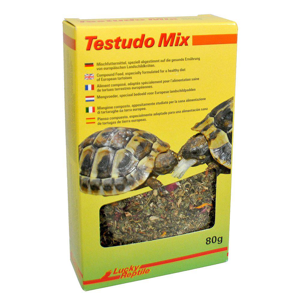 Lucky Reptile Testudo Mix