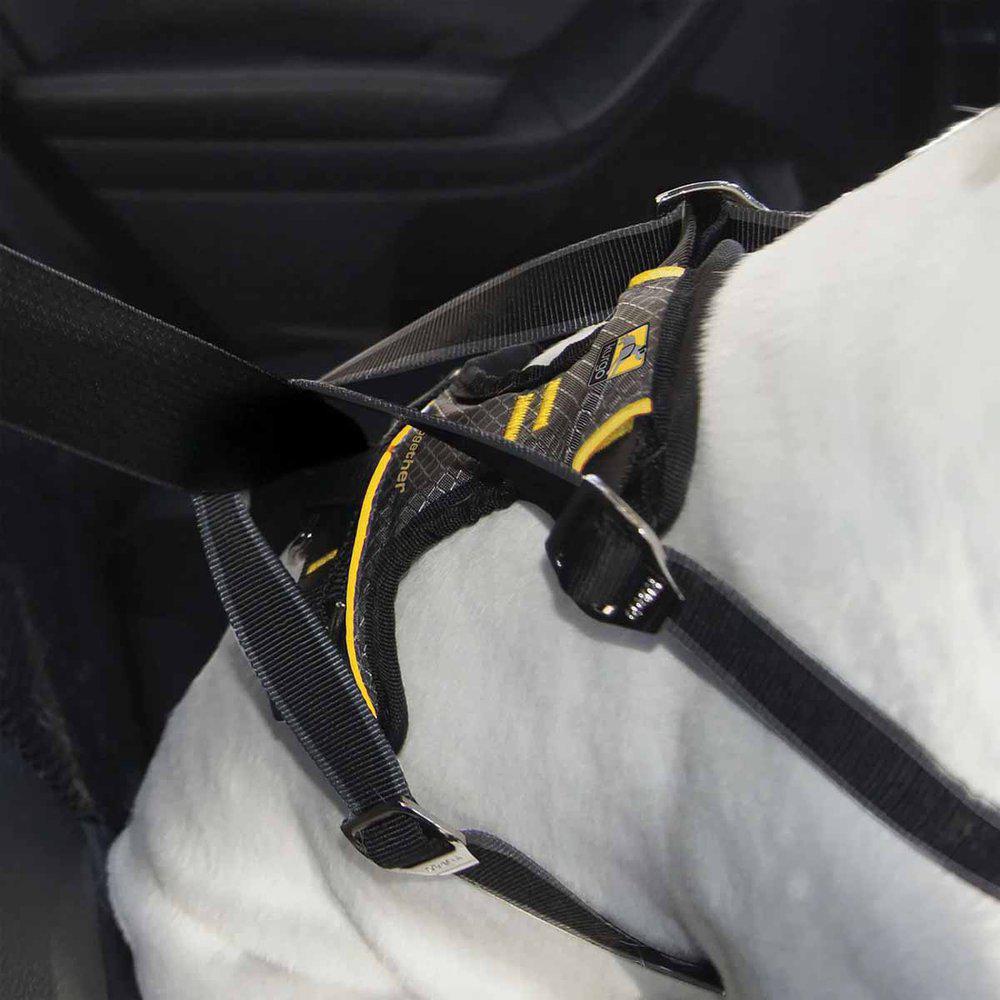 Kurgo Impact Seatbelt Harness Black Small