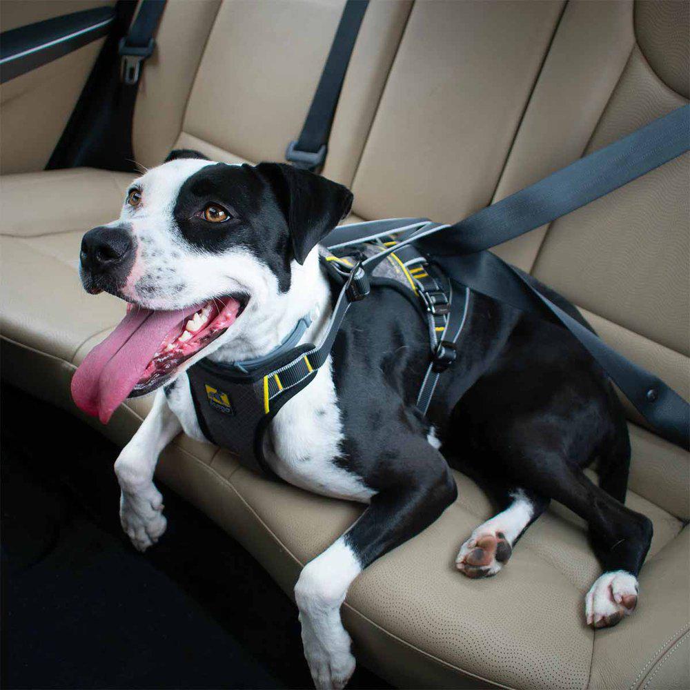 Kurgo Impact Seatbelt Harness Black Small