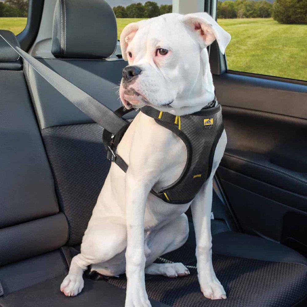 Kurgo Impact Seatbelt Harness Black Small