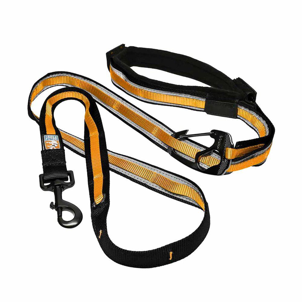 Kurgo Reflect&Protect Quantum Leash Black/Orange