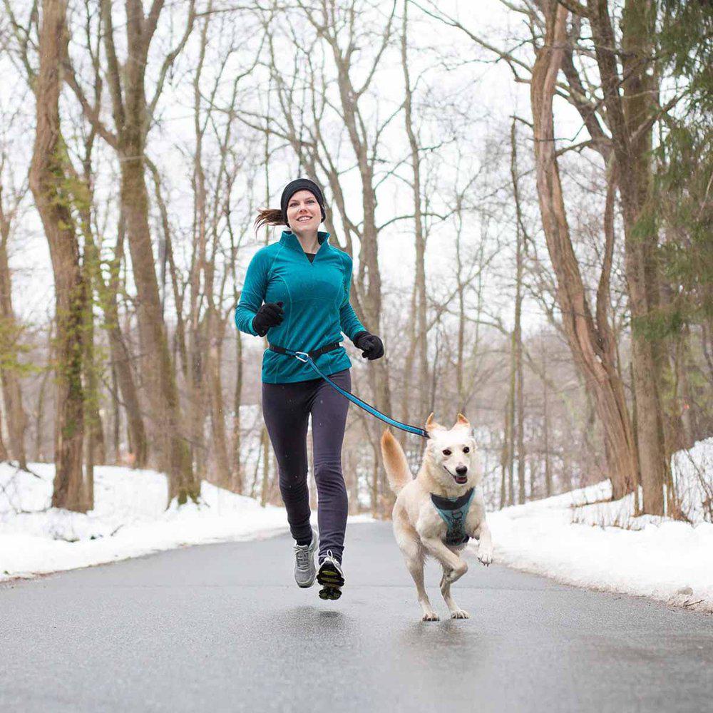 Kurgo Reflect&Protect Quantum Leash Black/Orange