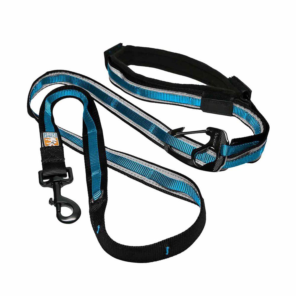 Kurgo Reflect&Protect Quantum Leash Coastal Blue