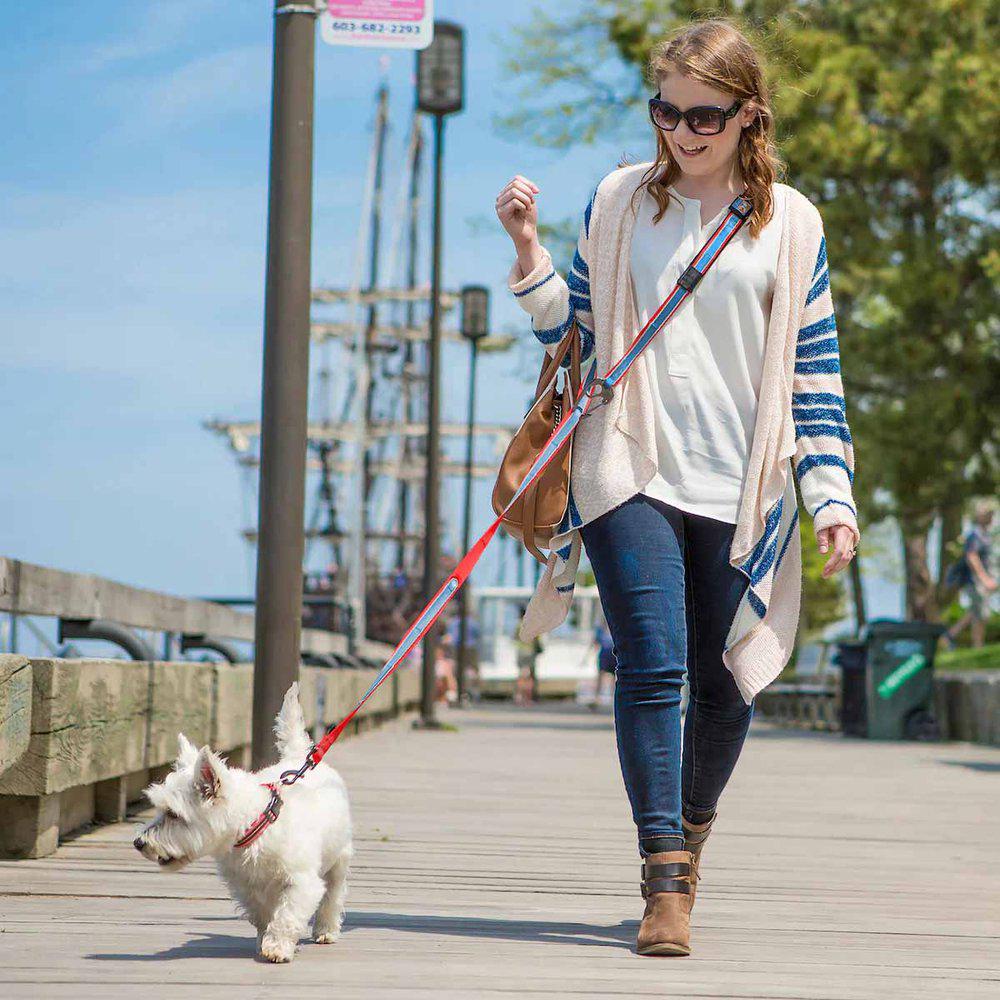 Kurgo Reflect&Protect Quantum Leash Coastal Blue