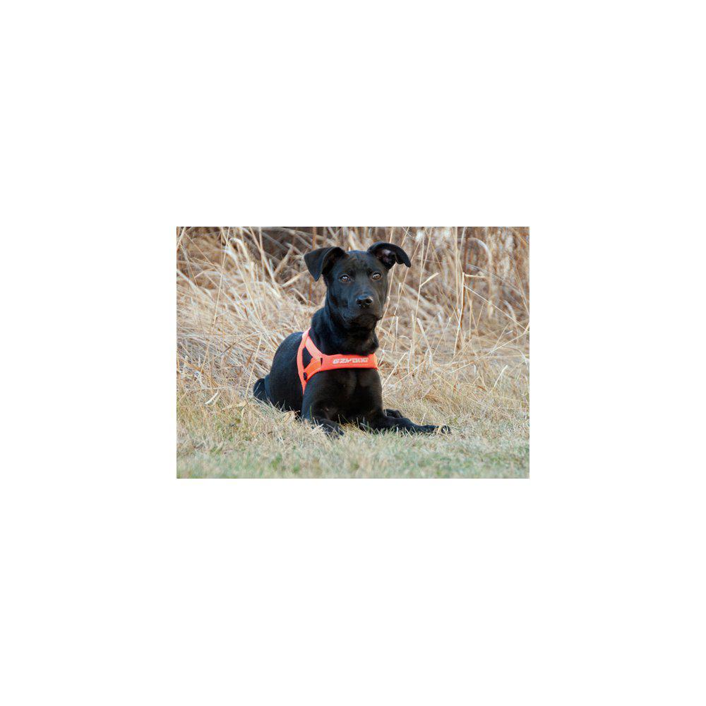 Ezydog Sele Quickfit Neopren Orange Xxs2- 'Justerbar'