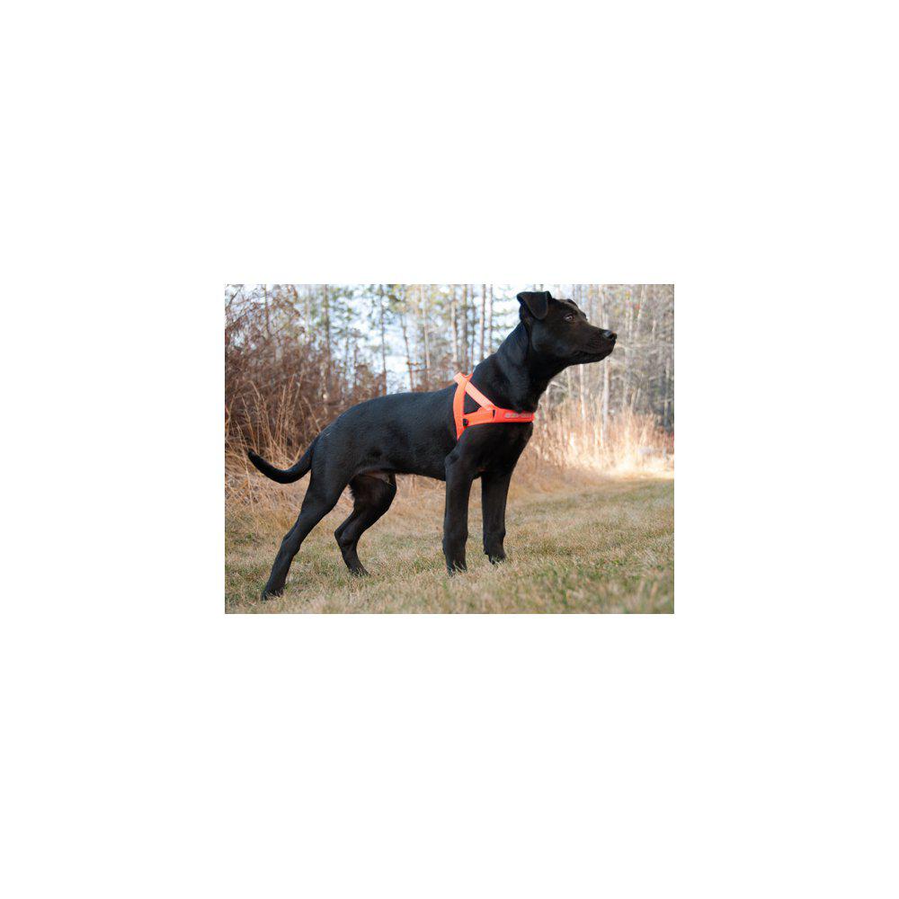 Ezydog Sele Quickfit Neopren Orange Xxs2- 'Justerbar'